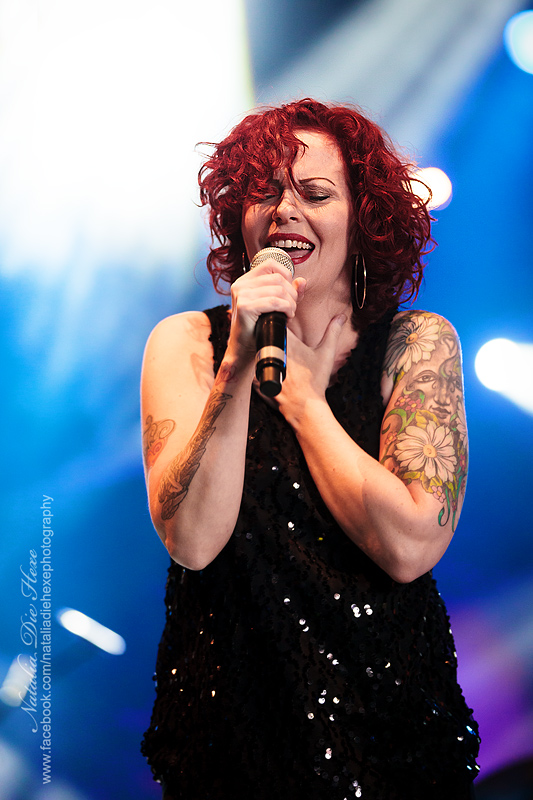  Various Artists #4, 15.08.2014, Germany, Dinkelsbühl, Summerbreeze Open Air 