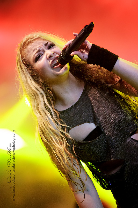  Various Artists #6, 15.08.2014, Germany, Dinkelsbühl, Summerbreeze Open Air 